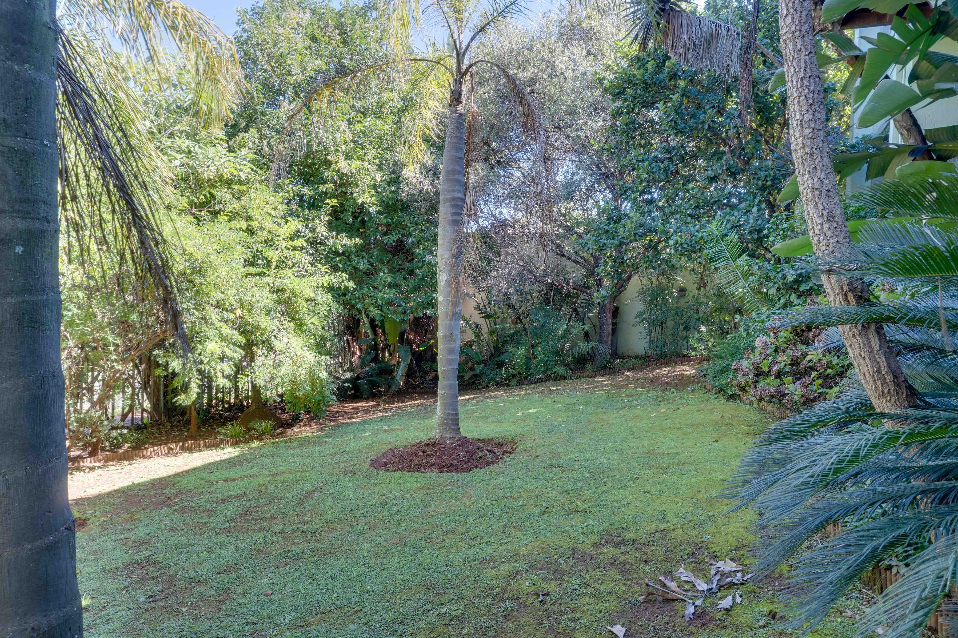 Greenbelt-Facing: The View Behind This Home Will Never Be Built Out | Solar-Powered, 600sqm | Under Roof On A 1,044sqm — image 42