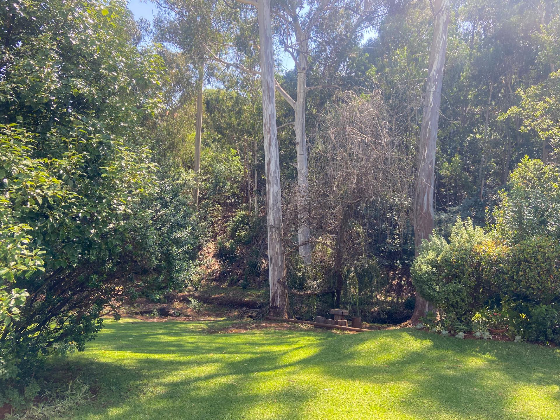 2 Helderkruin — image 15
