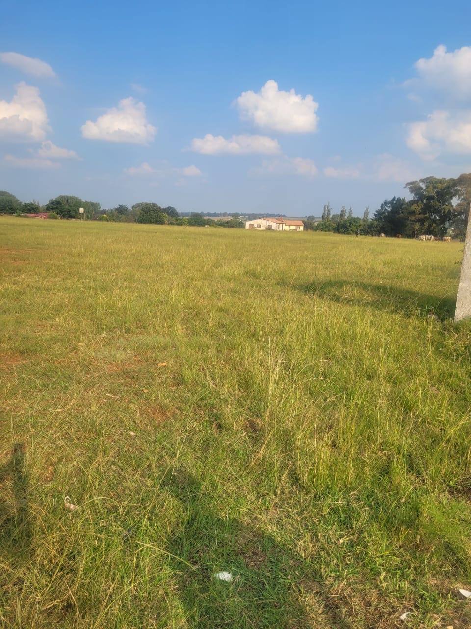 Vacant Land / Plot For Sale in Mapleton, Boksburg — image 4
