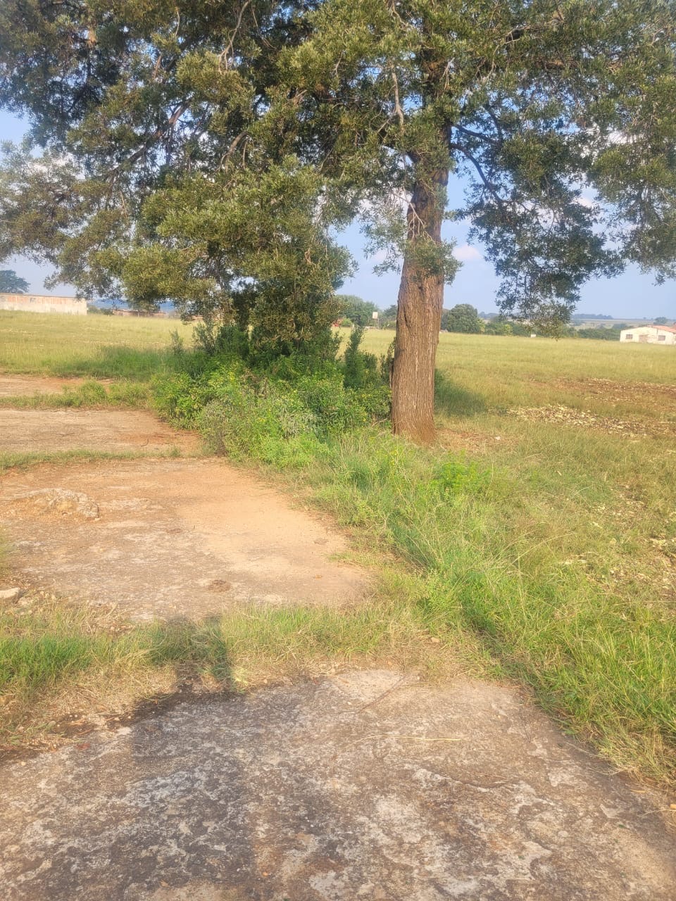 Vacant Land / Plot For Sale in Mapleton, Boksburg — image 8