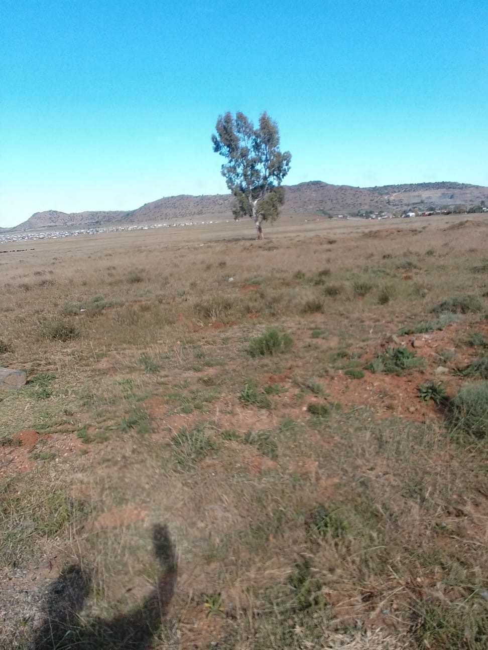 Vacant Land / Plot For Sale in Aliwal North, Aliwal North — image 3