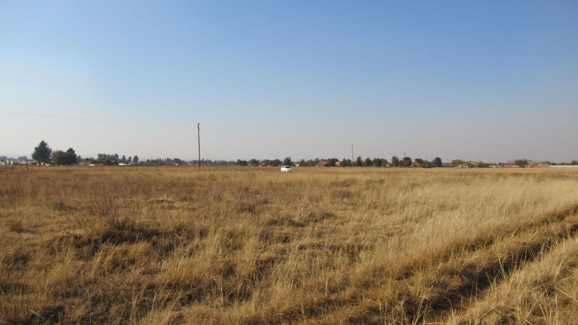 1 Westernaria — image 3