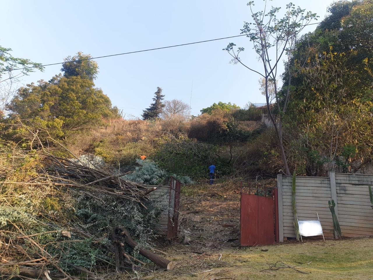 1 Constantia 