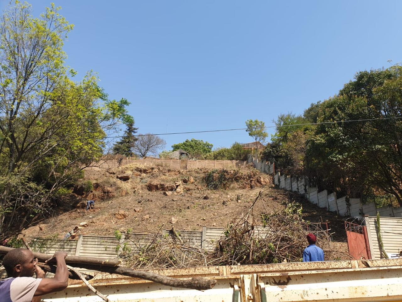 1 Constantia — image 2