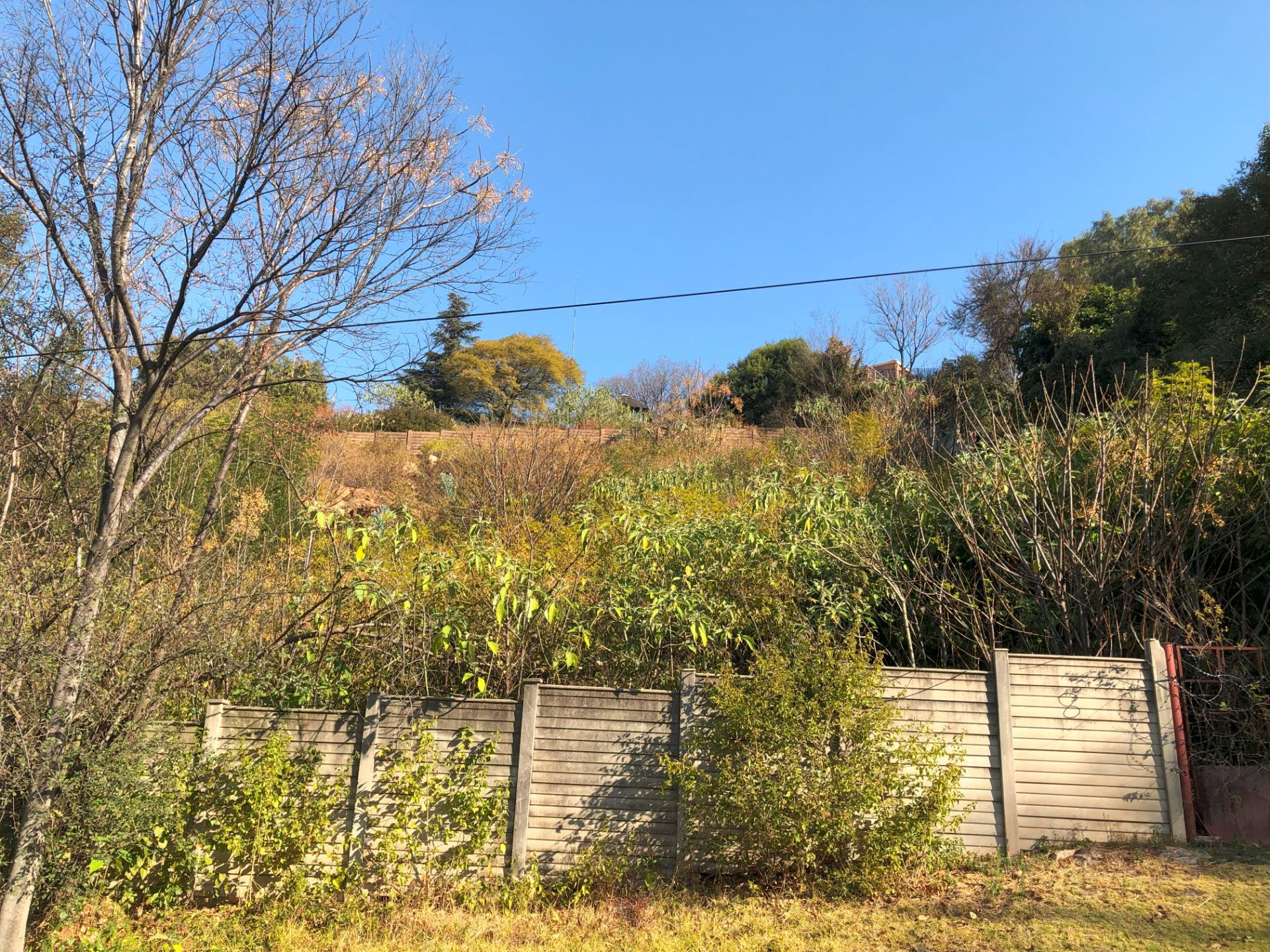 1 Constantia — image 6
