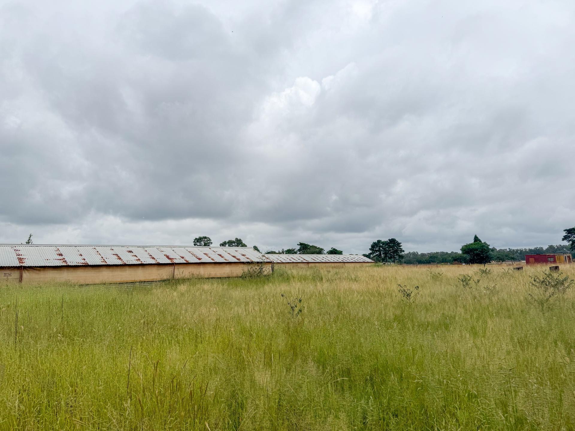 A Small holding Farm with 4 Bedroom Family Home and 5 Chicken Coup For Sale in Zuurbem Westonaria — image 16