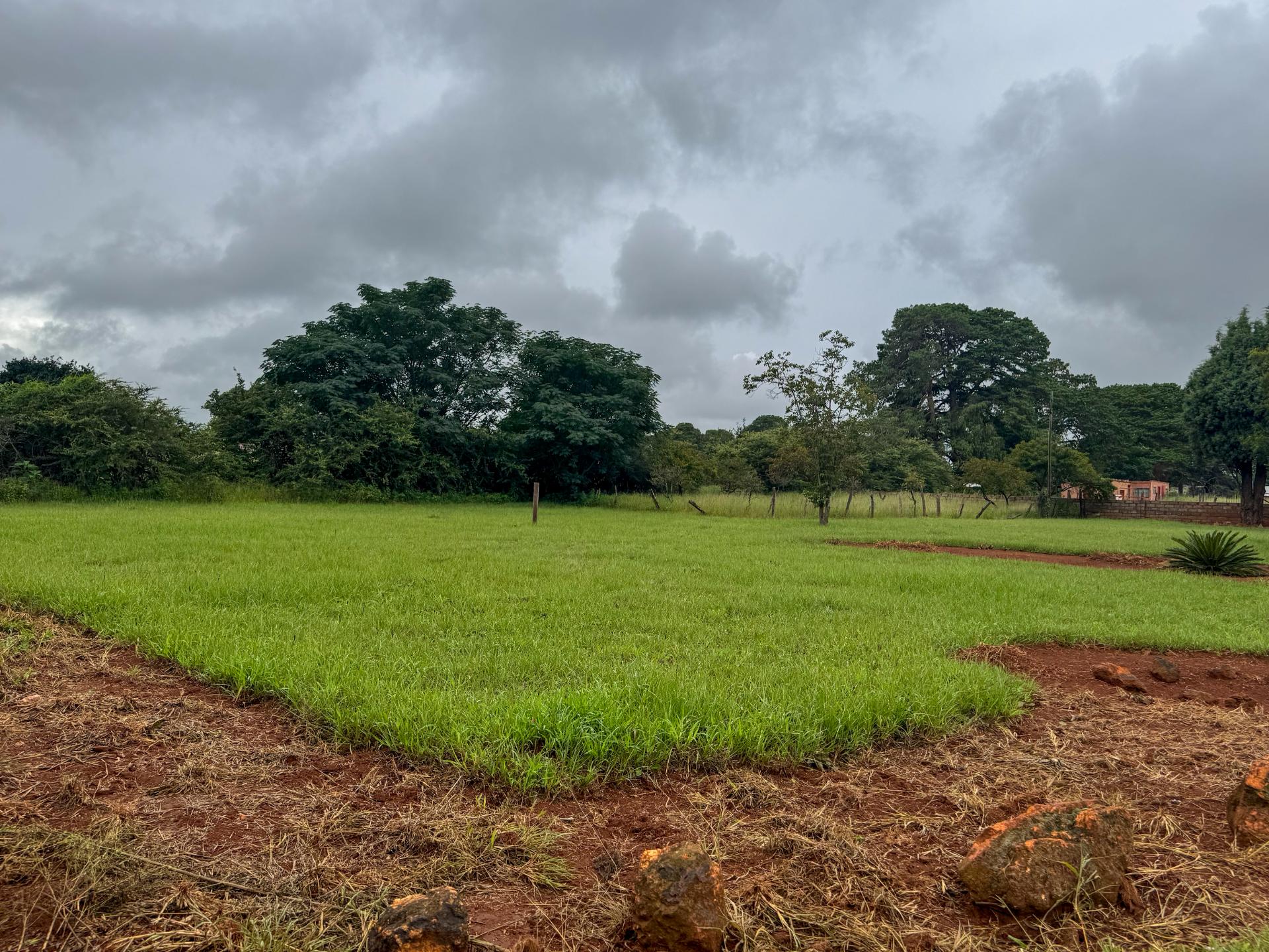A Small holding Farm with 4 Bedroom Family Home and 5 Chicken Coup For Sale in Zuurbem Westonaria — image 4