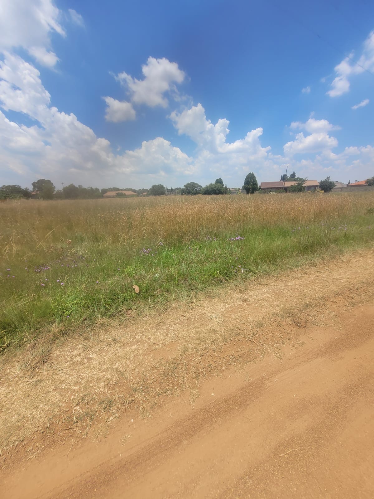 Vacant Land / Plot For Sale in Midvaal, Midvaal — image 3