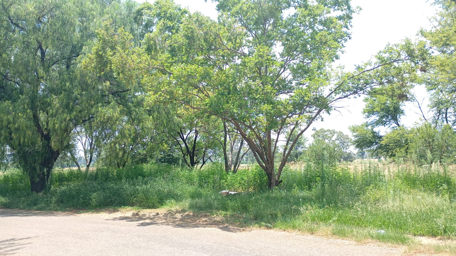 Vacant Land / Plot For Sale in Carletonville, Carletonville — image 7