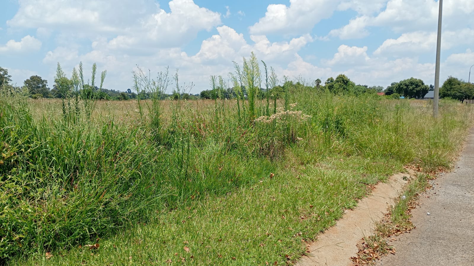 Vacant Land / Plot For Sale in Carletonville, Carletonville — image 8