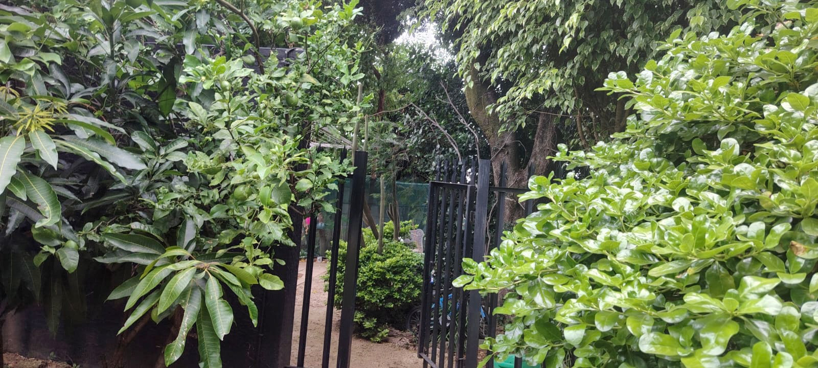 4 Bedroom House For Sale in Bordeaux, Randburg — image 32