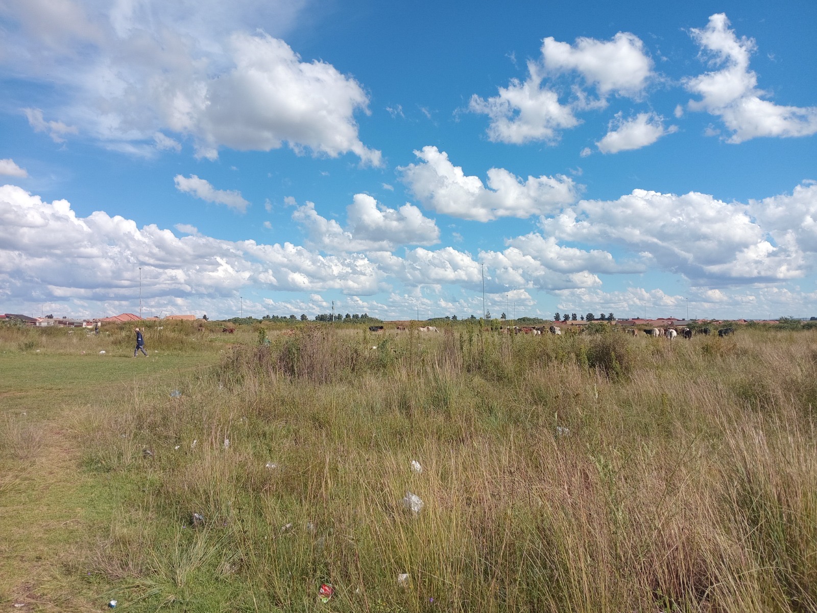Vacant Land / Plot For Sale in Sebokeng, Sebokeng