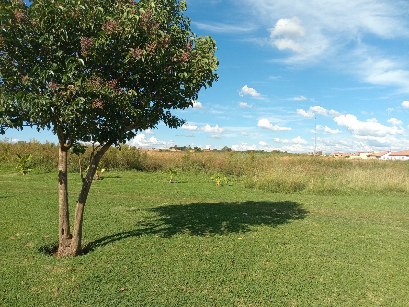 Vacant Land / Plot For Sale in Sebokeng, Sebokeng — image 2