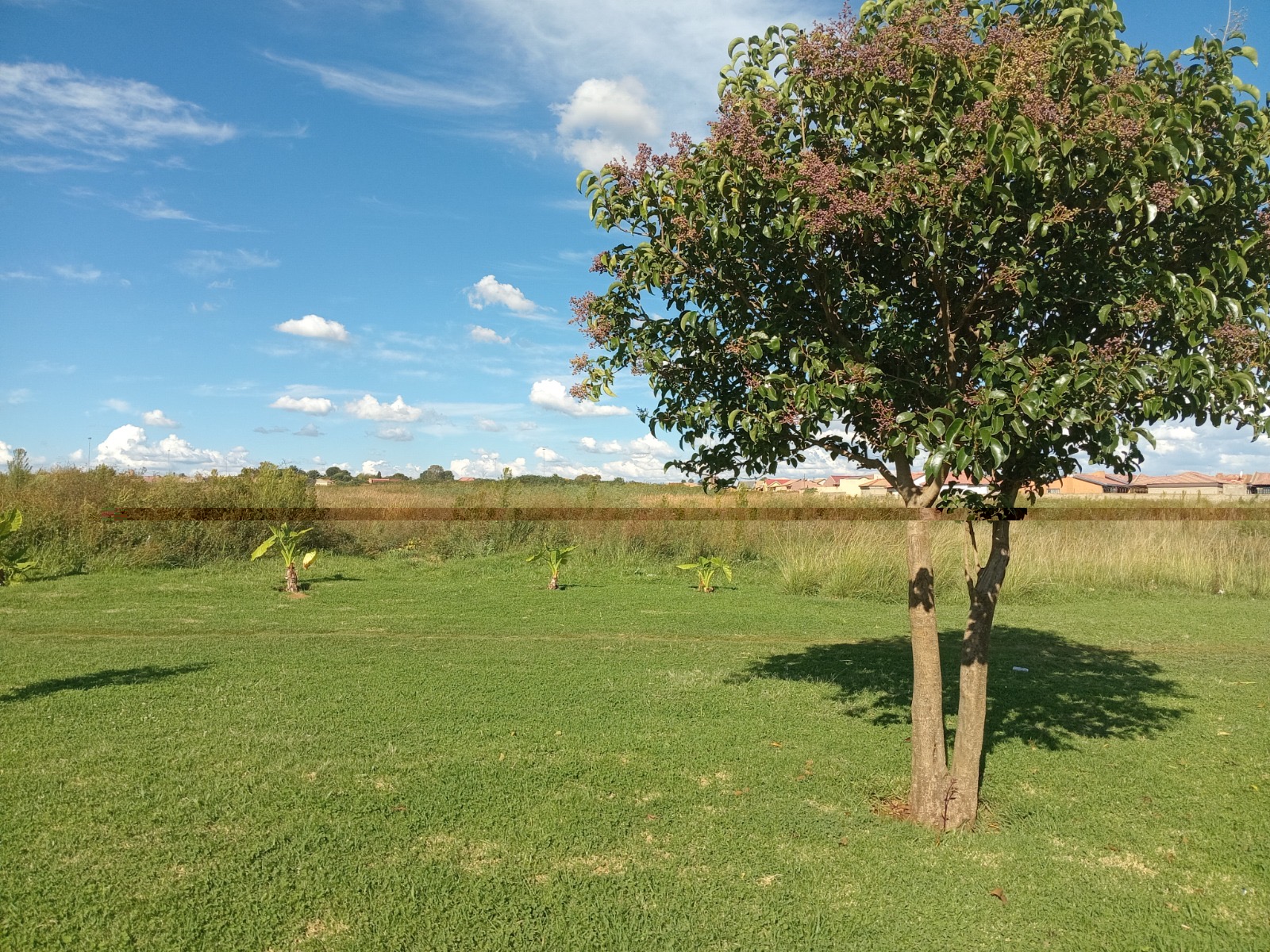 Vacant Land / Plot For Sale in Sebokeng, Sebokeng — image 3