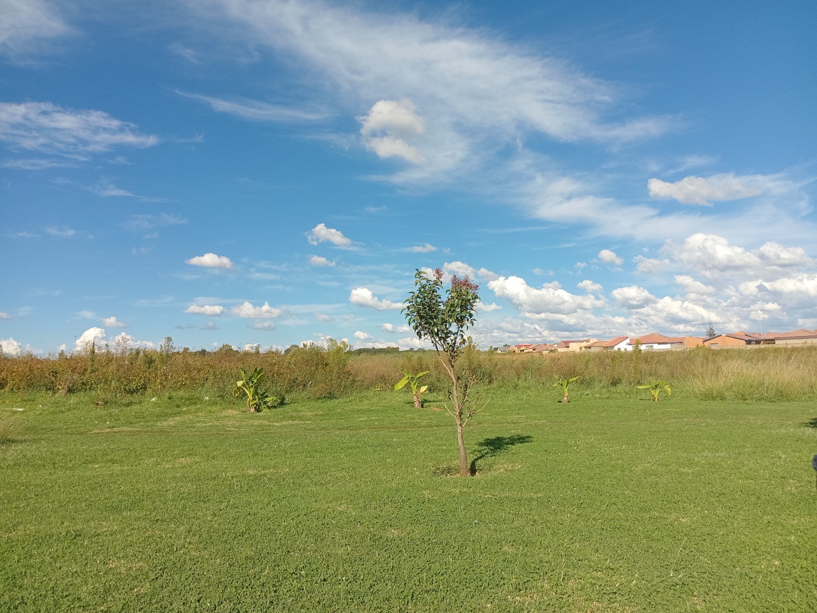 Vacant Land / Plot For Sale in Sebokeng, Sebokeng — image 4